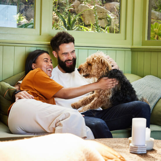 A couple with a dog relaxing on a couch